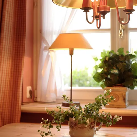 公寓 Haus Elvi Fuchs An Den Alten Salzwiesen *