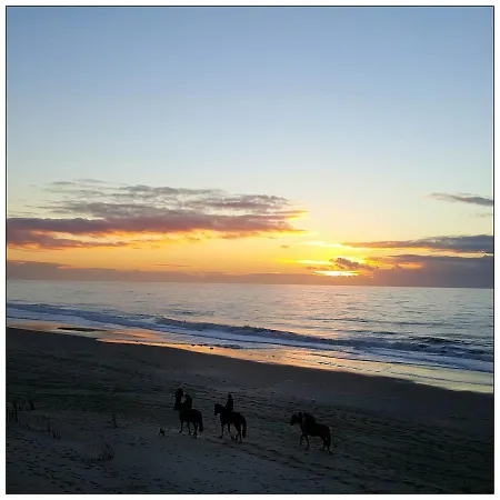 Haus Elvi Fuchs An Den Alten Salzwiesen